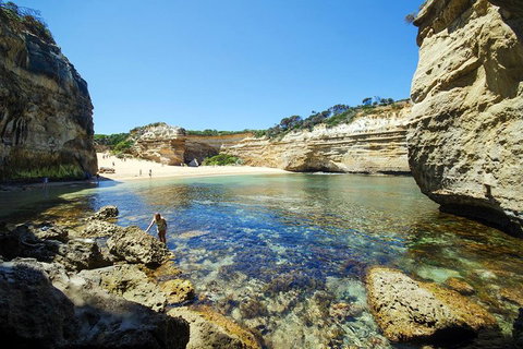 Small-Group Great Ocean Road And 12 Apostles Full-Day Tour From Melbourne - Accommodation Port Macquarie 5