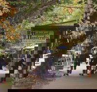 Adelaide Highlights Hahndorf  McLaren Vale Wine Tasting and Sightseeing Tour - Accommodation Port Macquarie