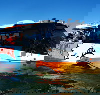 Express Jet Boat Ride  Aquaduck - Accommodation Port Macquarie