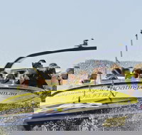 30-minute Jet Blast Express Ride - Accommodation Port Macquarie