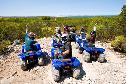 Kangaroo Island Quad Bike (ATV) Tours - Accommodation Port Macquarie 3