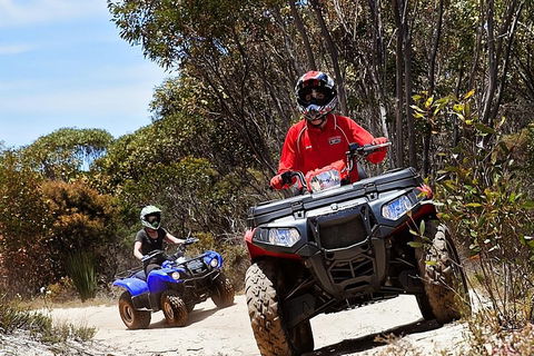 Kangaroo Island Quad Bike (ATV) Tours - Accommodation Port Macquarie 5