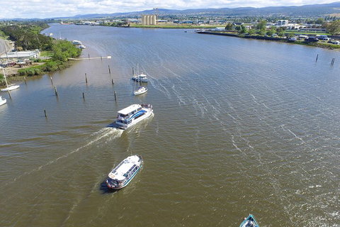 2.5 Hour Morning Discovery Cruise Including Sailing Into The Cataract Gorge - Accommodation Port Macquarie 4