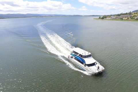 2.50 Hour Afternoon Discovery Cruise Including Cataract Gorge Departing At 3 Pm - Accommodation Port Macquarie 0
