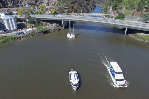 2.50 Hour Afternoon Discovery Cruise Including Cataract Gorge Departing At 3 Pm - Accommodation Port Macquarie 3