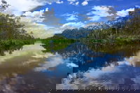 Noosa Everglades Serenity Cruise  Highlights Tour Inc. Lunch  Cruise