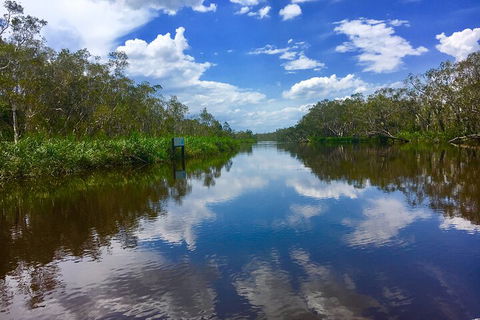 Noosa Everglades Serenity Cruise & Highlights Tour Inc. Lunch & Cruise - Accommodation Port Macquarie 0