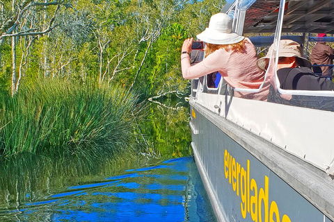 Noosa Everglades Serenity Cruise & Highlights Tour Inc. Lunch & Cruise - Accommodation Port Macquarie 2