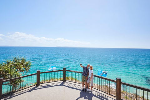 Noosa Everglades Serenity Cruise & Highlights Tour Inc. Lunch & Cruise - Accommodation Port Macquarie 3