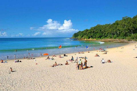 Noosa Everglades Serenity Cruise & Highlights Tour Inc. Lunch & Cruise - Accommodation Port Macquarie 4