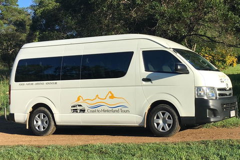 Noosa Everglades Serenity Cruise & Highlights Tour Inc. Lunch & Cruise - Accommodation Port Macquarie 5
