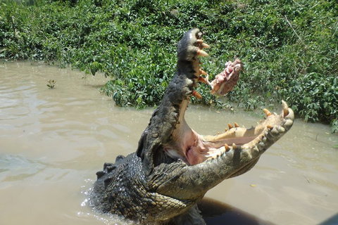Litchfield And Jumping Crocodiles Full Day Trip From Darwin - Accommodation Port Macquarie 3