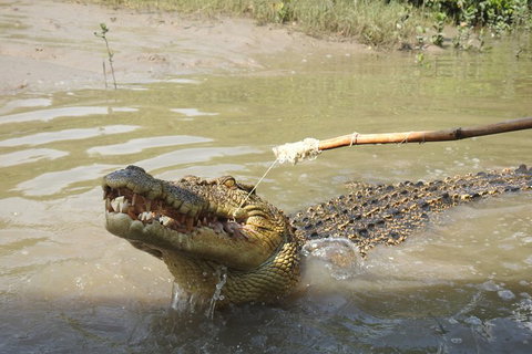 Litchfield And Jumping Crocodiles Full Day Trip From Darwin - Accommodation Port Macquarie 4