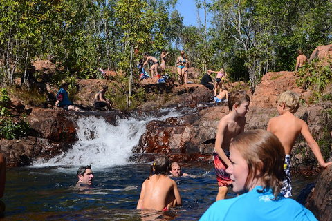 Litchfield And Jumping Crocodiles Full Day Trip From Darwin - Accommodation Port Macquarie 5