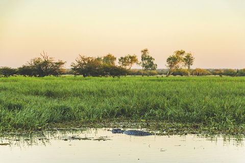 Yellow Water Cruise - Kakadu - Accommodation Port Macquarie 3