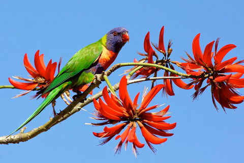 Half Day Perth & Fremantle Highlights - Accommodation Port Macquarie 2