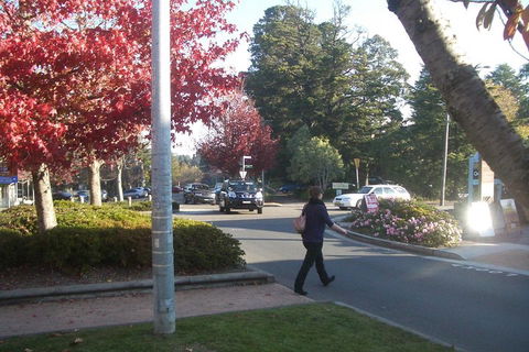 PRIVATE All-Day Blue Mountains Tour With Professional Guide For Up To 4 People - Accommodation Port Macquarie 1