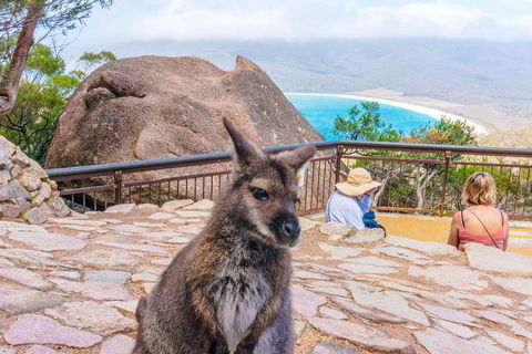 Wineglass Bay & Freycinet NP Full Day Tour From Hobart Via Richmond Village - Accommodation Port Macquarie 0