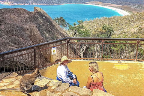 Wineglass Bay & Freycinet NP Full Day Tour From Hobart Via Richmond Village - Accommodation Port Macquarie 1
