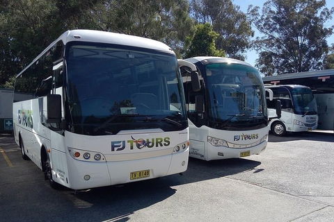 Blue Mountains Day Trip From Sydney Including Scenic World - Accommodation Port Macquarie 5
