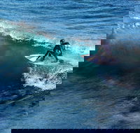 Great Ocean Road Highlights Tour - 2 Days 1 Night - Accommodation Port Macquarie
