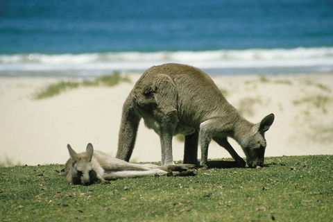 Great Ocean Road Highlights Tour - 2 Days, 1 Night - Accommodation Port Macquarie 2