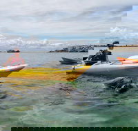 Seal Island and Penguin Island or Point Peron Sea Kayak Tour - Accommodation Port Macquarie