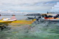 Seal Island and Penguin Island or Point Peron Sea Kayak Tour, Perth