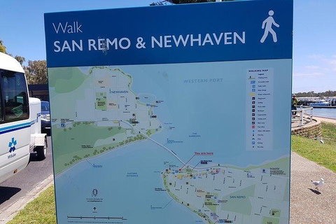 Phillip Island Penguin And Wildlife Tour - Accommodation Port Macquarie 2