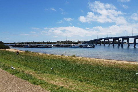 Phillip Island Penguin And Wildlife Tour - Accommodation Port Macquarie 4