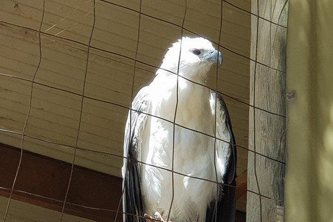 Phillip Island Penguin And Wildlife Tour - Accommodation Port Macquarie 5