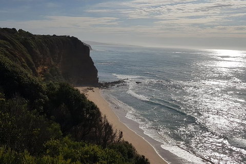 Full-Day Great Ocean Road Tour From Melbourne - Accommodation Port Macquarie 0