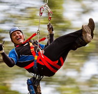 12 Apostles and Otway Fly Zipline Day Trip from Melbourne - Accommodation Port Macquarie