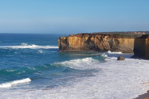12 Apostles And Otway Fly Zipline Day Trip From Melbourne - Accommodation Port Macquarie 4