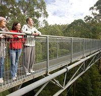 Adventure Sunset Three Day Great Ocean Road Tour - Accommodation Port Macquarie