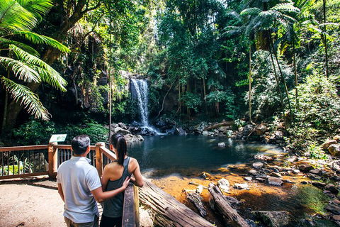 Aquaduck & Your Choice Of Gold Coast Rainforest Tour - Accommodation Port Macquarie 0