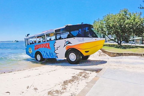 Aquaduck & Your Choice Of Gold Coast Rainforest Tour - Accommodation Port Macquarie 1