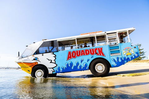 Aquaduck & Your Choice Of Gold Coast Rainforest Tour - Accommodation Port Macquarie 3