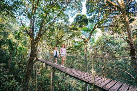 Aquaduck & Your Choice Of Gold Coast Rainforest Tour - Accommodation Port Macquarie 4