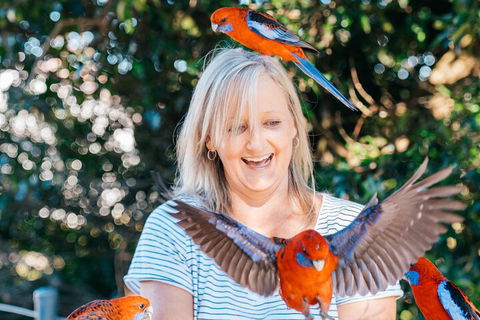 Aquaduck & Your Choice Of Gold Coast Rainforest Tour - Accommodation Port Macquarie 5