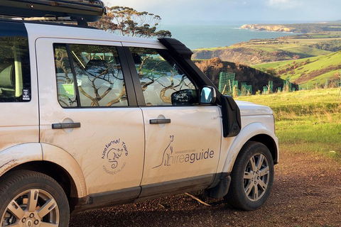 Kangaroo Island 4WD Tour - Best Of KI In 2 Days - Accommodation Port Macquarie 4