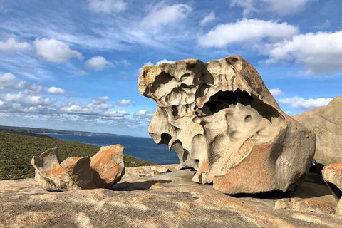 Kangaroo Island 4WD Tour - Best Of KI In 2 Days - Accommodation Port Macquarie 5