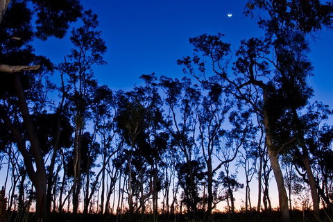 Small-Group Kangaroo Island 4WD Night Tour - Accommodation Port Macquarie 2