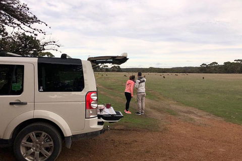 Kangaroo Island 4WD Tour - Flinders Chase - Accommodation Port Macquarie 3