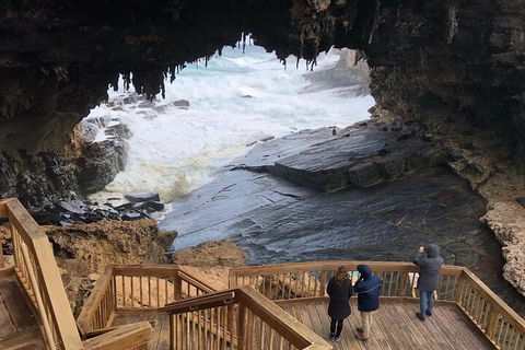 Kangaroo Island 4WD Tour - Best Of KI - Accommodation Port Macquarie 1