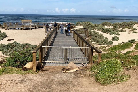 Kangaroo Island 4WD Tour - Best Of KI - Accommodation Port Macquarie 2
