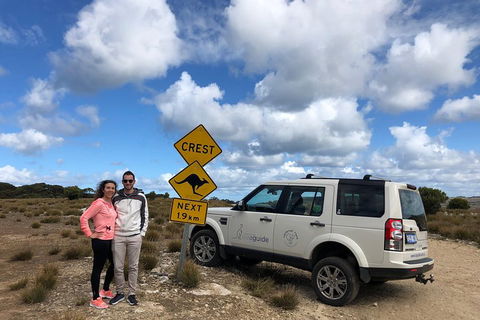 Kangaroo Island 4WD Tour - Best Of KI - Accommodation Port Macquarie 5
