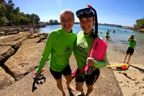 Manly Snorkel Trip And Nature Walk With Local Guide - Accommodation Port Macquarie 1