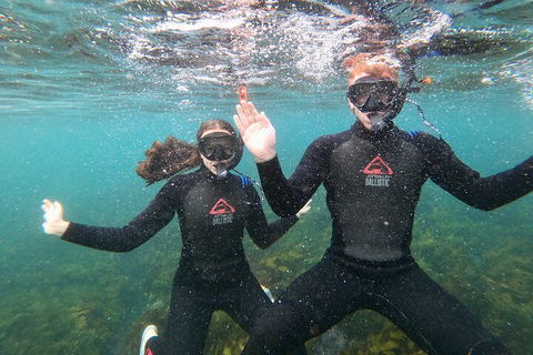 Manly Snorkel Trip And Nature Walk With Local Guide - Accommodation Port Macquarie 3