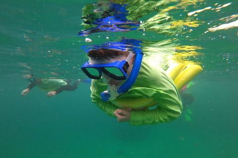 Manly Snorkel Trip And Nature Walk With Local Guide - Accommodation Port Macquarie 5